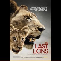 The Last Lions (2011)