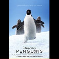 Penguins (2019)